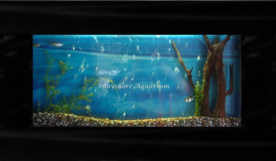 Large Plasma Wall Mount Fish Tank Aquarium Hanging Art  